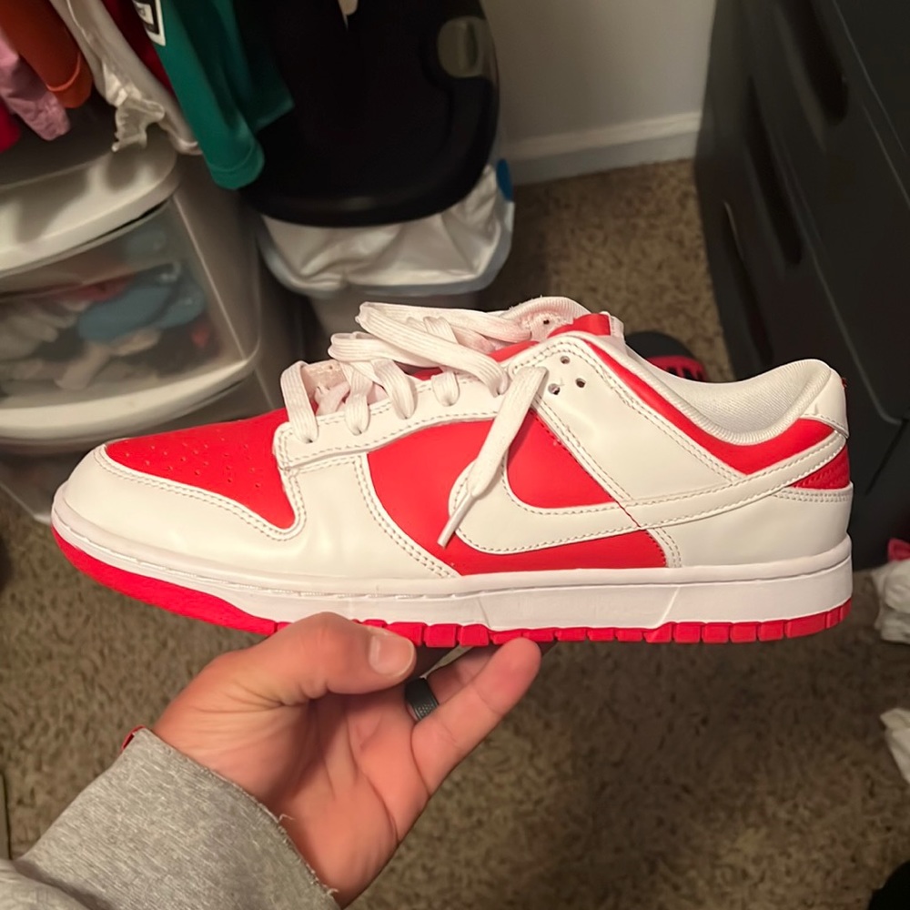 Dunk low retro